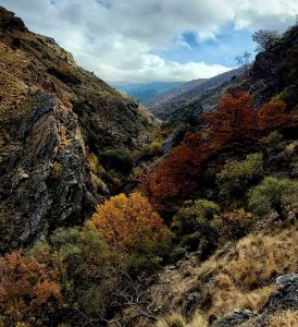 Güéjar Sierra (2) | Fuengirolan