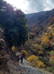 Güéjar Sierra (3) | Fuengirolan
