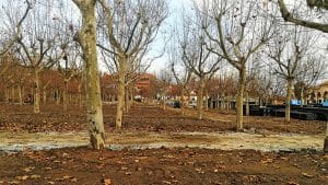 camping parcelat1 | Fuengirolan