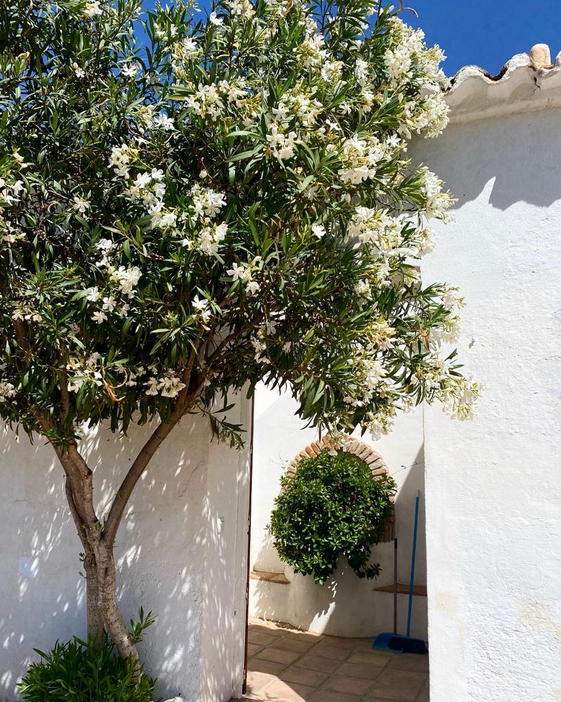 Anne Österlund finca la loma 10 | Fuengirola.fi