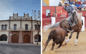 Plaza de Toros härkätaistelu | Fuengirola.fi | Fuengirola.fi