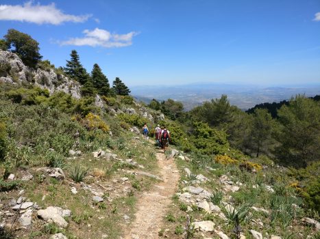 Sierra_de_las_Nieves_patikoijat | Fuengirolan